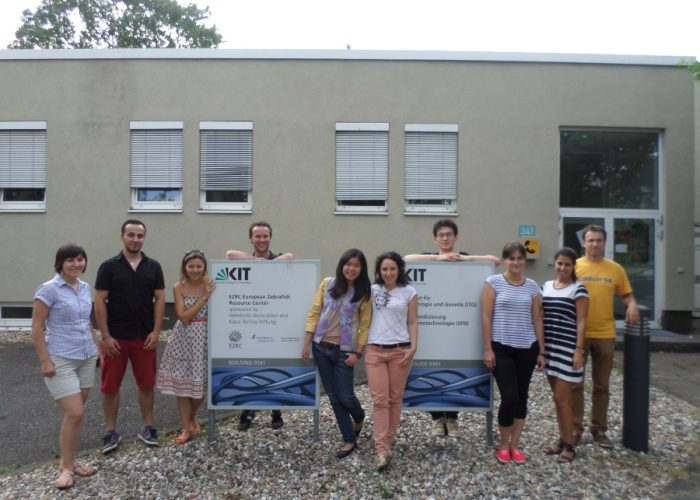 Katya Manuella BE'16_Internship